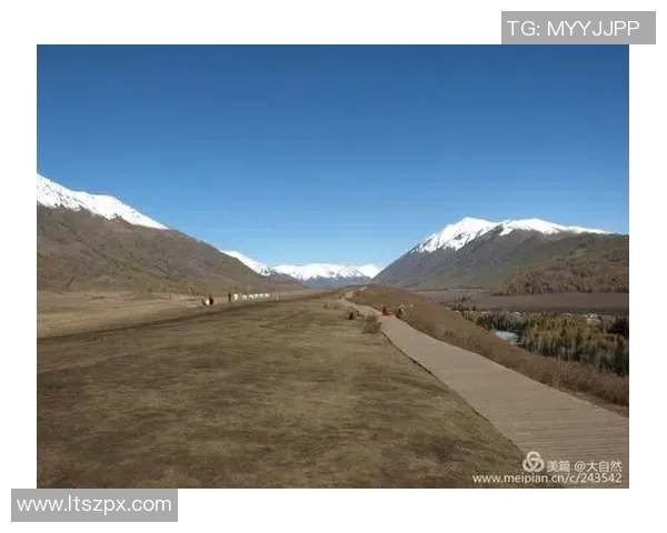 《天下足球球星篇：璀璨星光点亮绿茵场，传奇足坛风云再起》