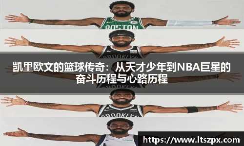 DG视讯官方网站