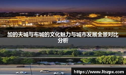 DG视讯官方网站