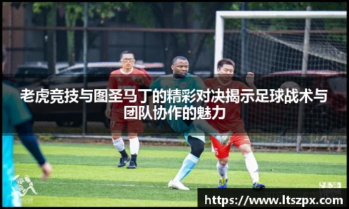 DG视讯
