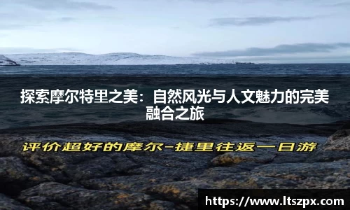 DG视讯